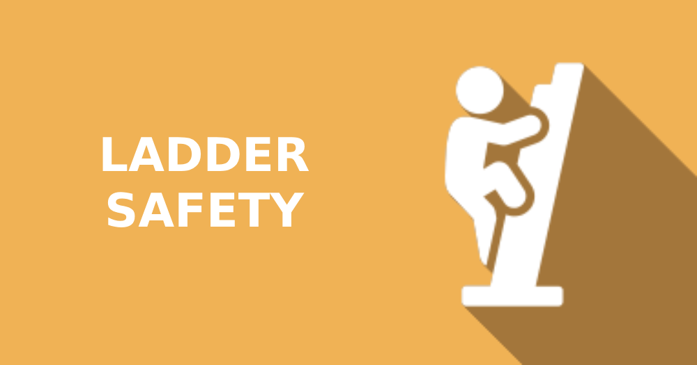 TRAINING ELEARNING LADDER SAFETY
